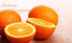 البرتقال الطزج