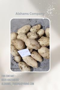 fresh_potatoes